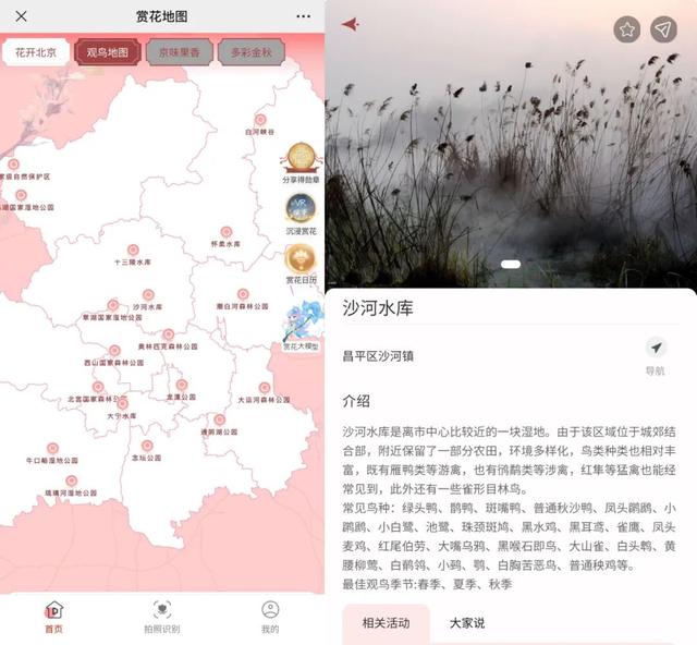 最新！北京春天动物图鉴！