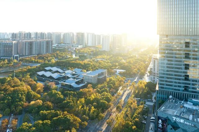 湖光金叶织秋韵