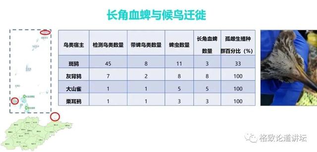 这种潜伏在我们身边的“吸血鬼	”一生只吃三顿饭	，但一顿就可能要人命