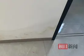 极目帮办|女子新房装修陷逾期和漏水纠纷，协商无果或诉诸法律图片