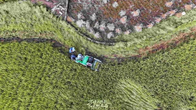 黔西南兴义：万峰林里好“丰”景