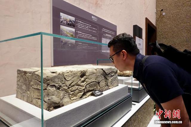 中外媒体探访杭州良渚 感知中华五千年文明史