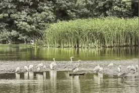 河晏水清歌未央——“一泓清水入黄河”的山西晋中答卷图片