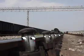 火车“采蘑菇”🍄视频火了 网友：太解压，我能一直看图片