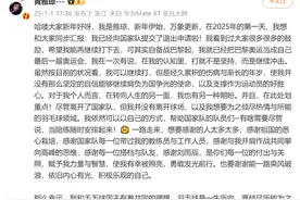 羽毛球运动员黄雅琼宣布退出国家队图片