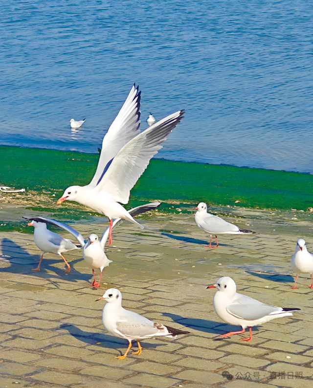 老朋友，又回来了！