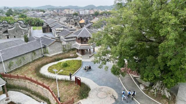 广东3个古树公园竣工 为城乡绿化增添新亮点
