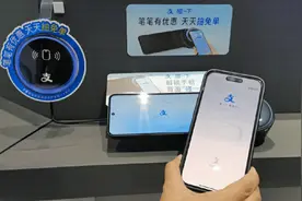 连续四个周六发放！沈阳将发放四轮“碰一下”消费券图片