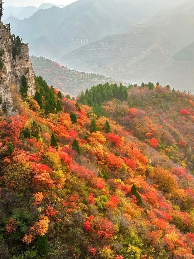 听说周末的石门坊挤爆了？哎，我有一计！