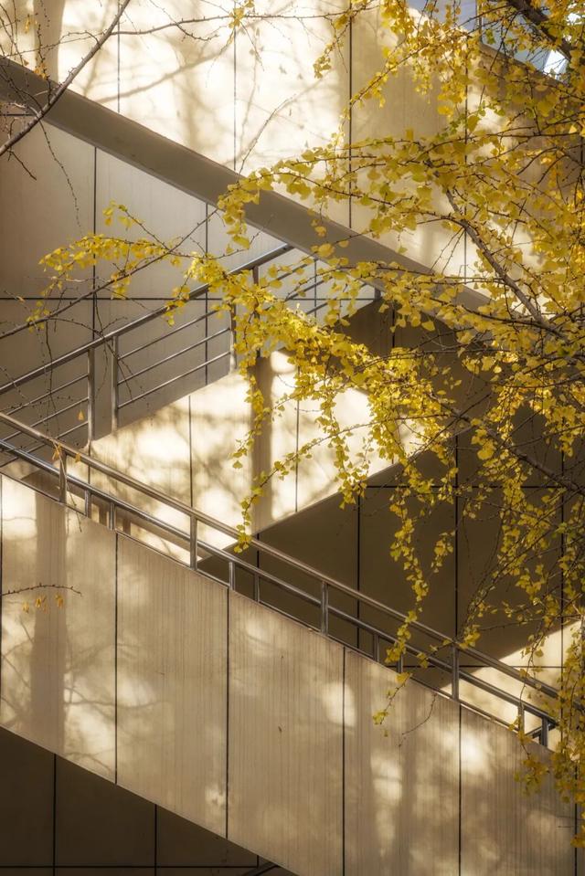 限时绝美！年度顶流！