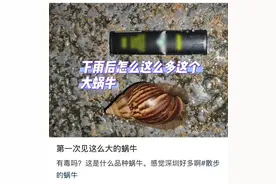 福建开展专项行动！近期路边看见它们，千万别碰！图片