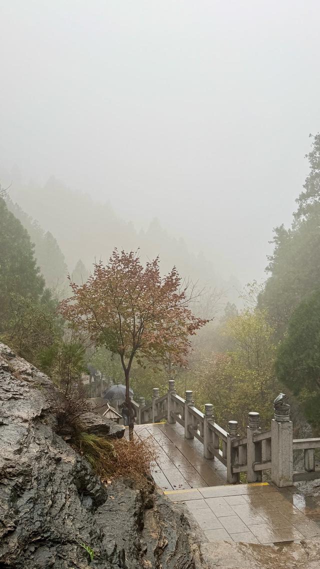 新视界｜济南佛慧山：初冬木叶黄 山高雾沾衣