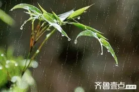春风化雨，润物无声图片