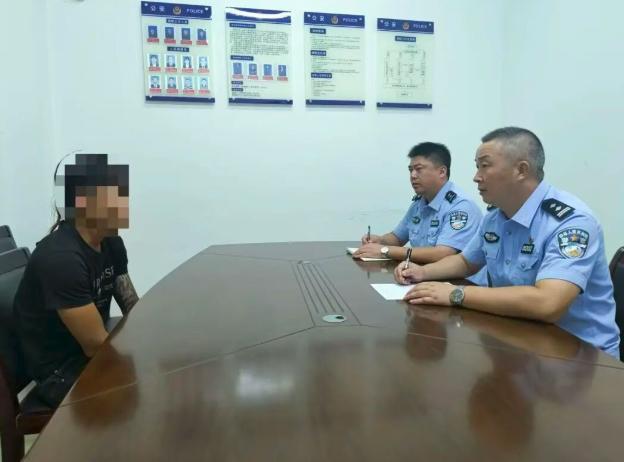 潜水爱好者拖拽野生海豹上岸，警方出手了→