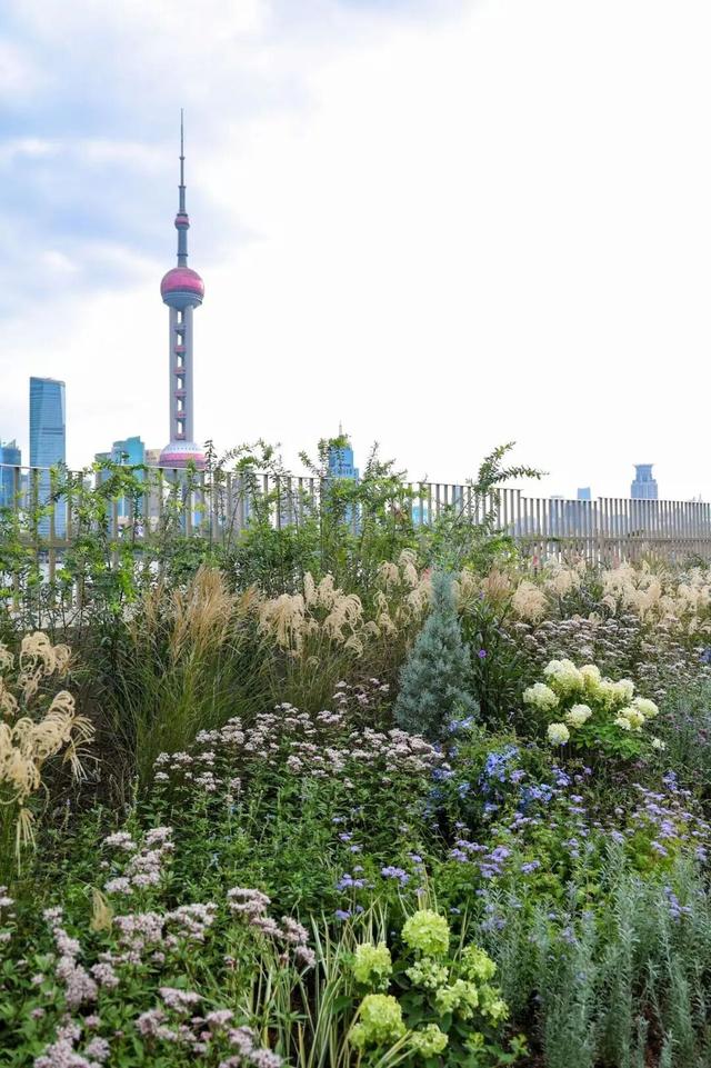 上海这里变身花花世界！38组绝美花境作品免费打卡→