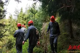 元旦，12个师傅带小徒弟巡山—国网洞口县供电公司输电检修班接力巡线守护万家灯火图片