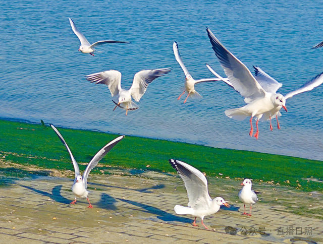老朋友，又回来了！