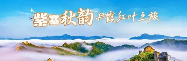 2025河北承德活力金秋旅游季｜5条全域精品旅游线路，解锁塞外金秋新玩法。