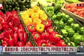国家统计局：2月份CPI同比下降0.7% PPI同比下降2.2% 当前物价温和回升的态势没有改变视频封面