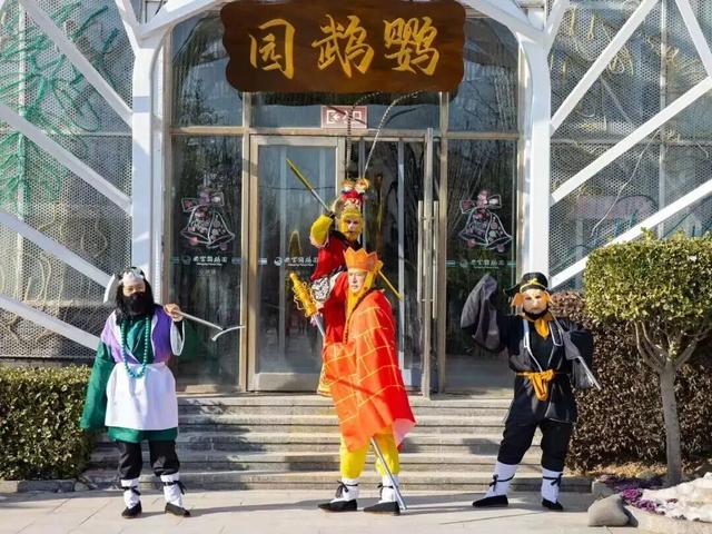 漫天“飘雪”！北京游乐园“天花板”！全龄嗨玩！