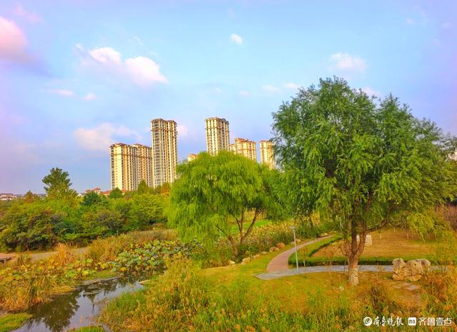 沂河岸边秋景美，抬眸尽是好风光