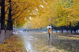 【新闻早茶】河北节前雨水小范围“打卡”！还有这些热点……图片