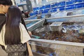 果然财经|外省虾大量上市，济南市场上的小龙虾迈入10元档图片