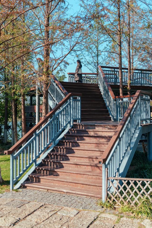 人少景美不绕路，东湖秋日彩蛋上新