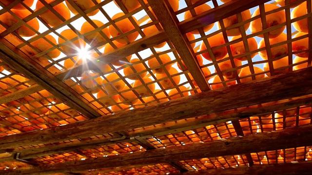 周末不忙，来趟平乐