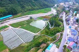 聚焦高质量发展丨一个鄂西山区养牛场华丽“蝶变”的背后图片