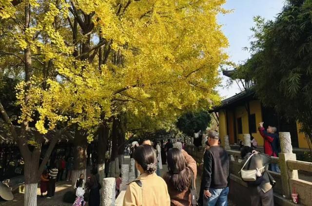 人人人人人！今天常州热度爆了