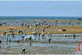 逐日 踏浪 赶海图片