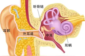 什么？我的听力已经提早“退休”了？图片