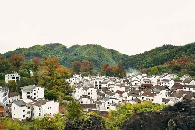 上饶绝美“枫景”加载完毕，前往石城锁定你的赏枫C位！