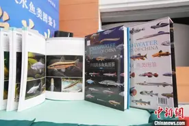 有助公众了解淡水鱼类 《中国淡水鱼类图鉴》新书在沪首发图片