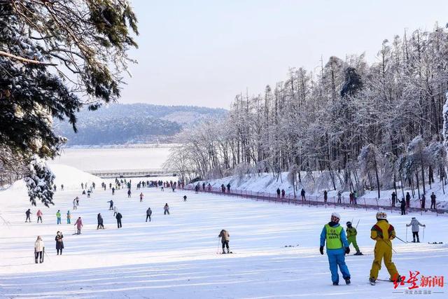 从天府之国到北国春城：一场冰雪“双城记”