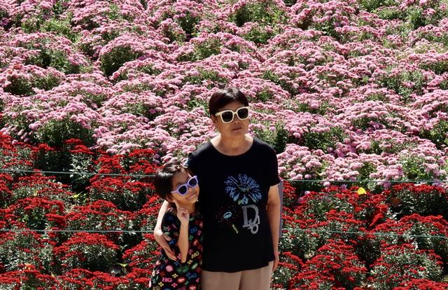 国家植物园“花”式迎国庆