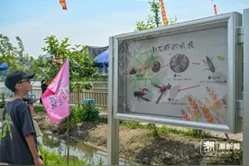 杭州临平运河龙虾垂钓季启幕图片