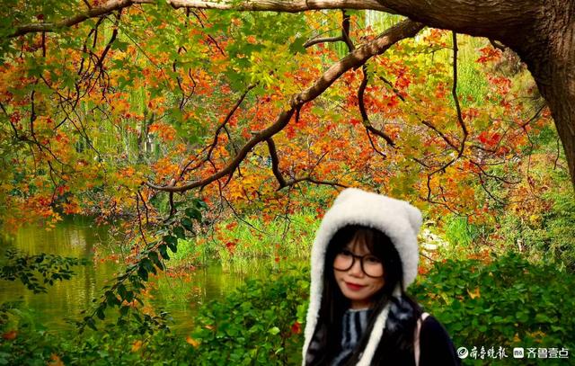 五龙潭公园里水杉林里，“跳”进来两只银杏鹿