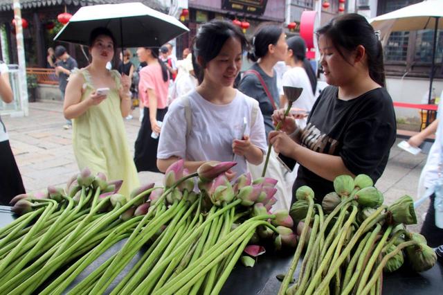 江苏苏州：山塘街荷花俏销 感受初秋浪漫