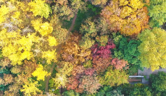临潼人别宅啦！家门口这片小天地，藏着冬天最暖光景→