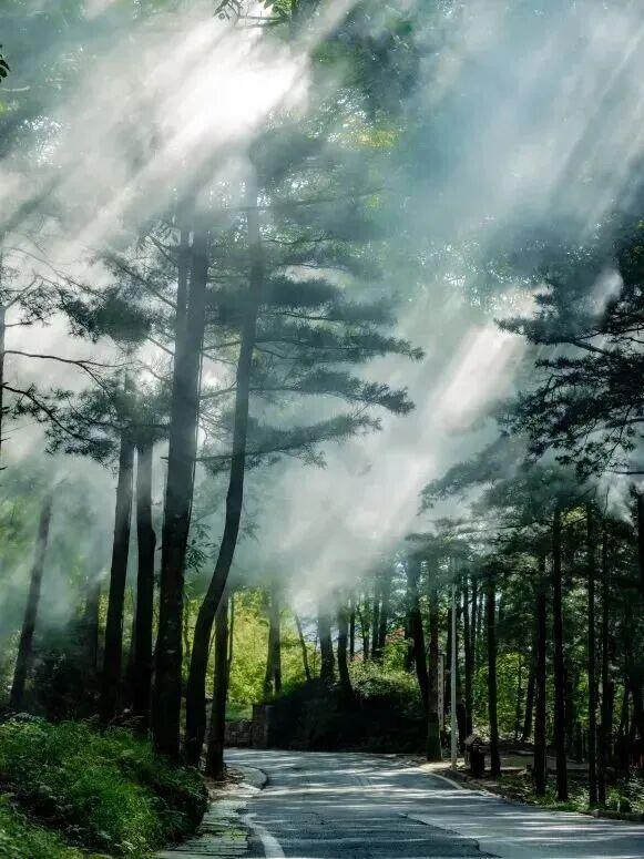 洛阳这些地方值得反复去，反复反复去... ...