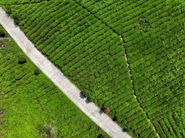 谷里驿:站在千年古镇的路口