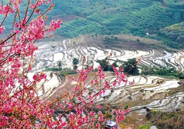 来红河看“滇超联赛”！领取景区大礼包