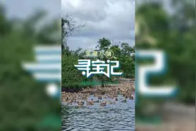 宝藏小镇·寻宝记 | 儋州排浦镇：跑过海的蛋长什么样？图片