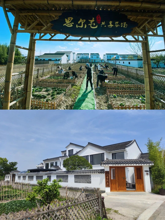 国庆休闲到奉贤｜上海市内1h直达的休闲文艺之旅，不允许你不知道