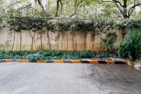 小区里的“僵尸车”被清理了！图片