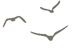 一树鎏金一树诗，铅山这3个绝美银杏打卡地惊艳整个秋天！