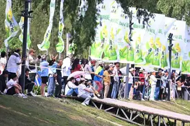 直击辽宁龙舟大赛：今年没翻船但有龙舟走歪，“划水摸鱼很快乐”图片