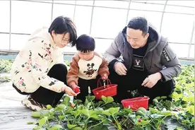 赴“田园诗画”之约——兰州新区西岔园区和美乡村游体验记图片